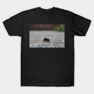 Bee Photograph Macro Close Up T-Shirt